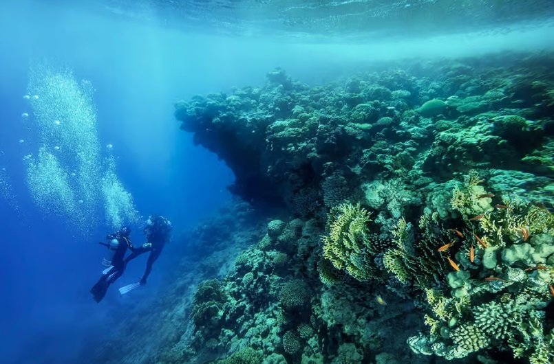 Blue Hole & Canyon Sea Dive
